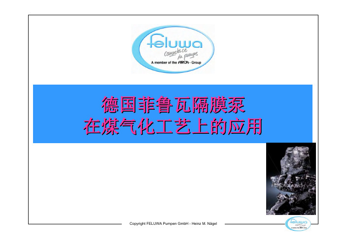菲鲁瓦中文简介