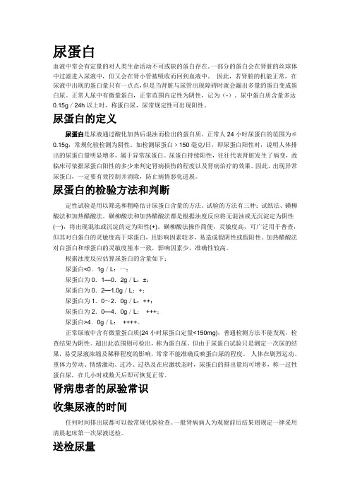 尿蛋白