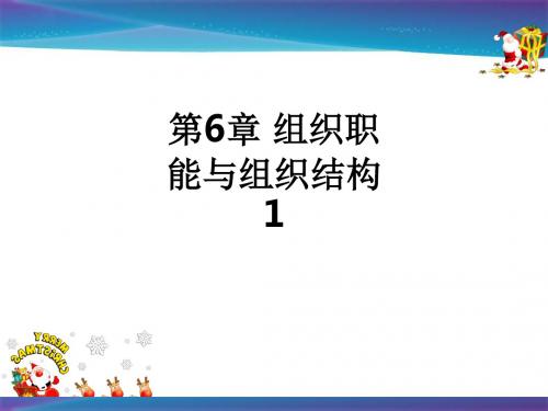 第6章 组织职能与组织结构1ppt课件