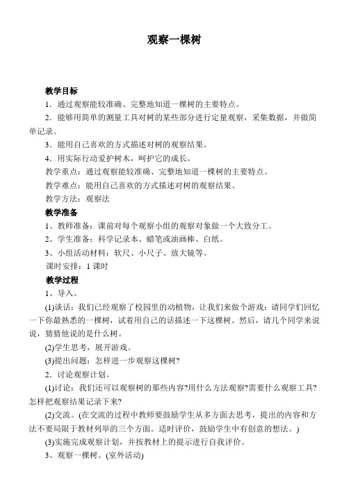 鄂教版小学科学四上《7观察一棵树》word教案 (2)
