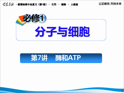 必修1酶和ATP精品PPT课件