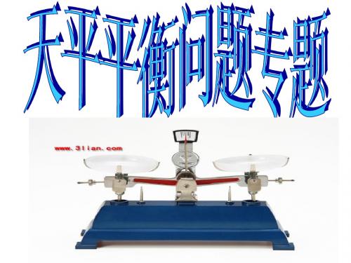 天平平衡问题课件10.9.9