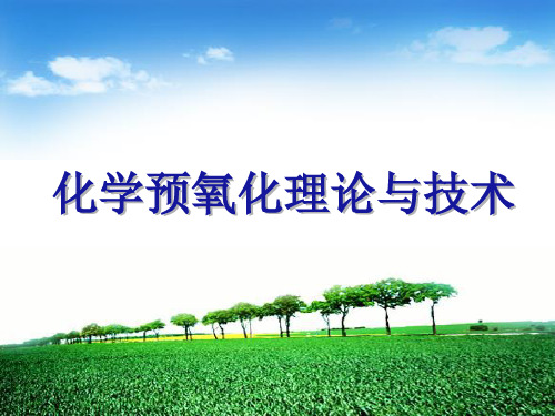 化学预氧化