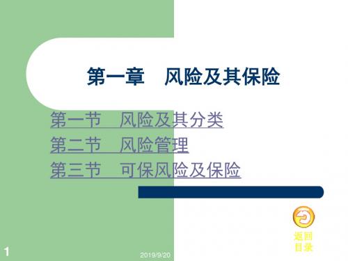 第一章风险与保险