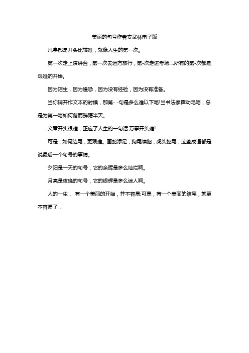 美丽的句号作者安武林电子版