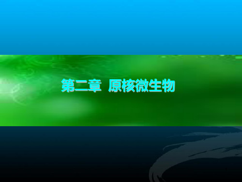第二章 原核微生物PPT课件