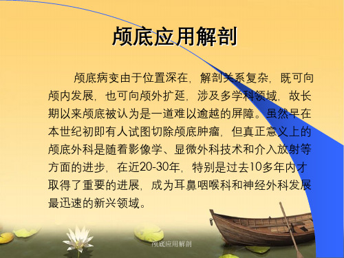 颅底应用解剖