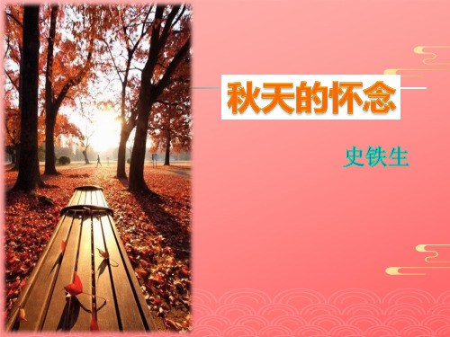 人教部编版语文七年级上册 《秋天的怀念》课件2PPT