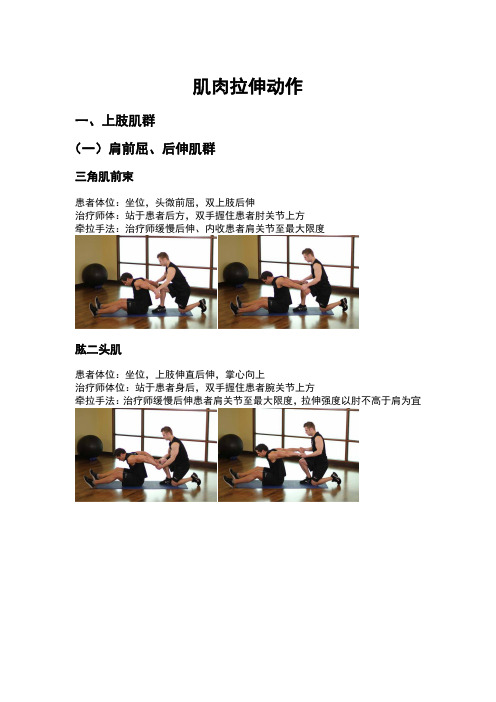 全身肌肉牵拉方法总结