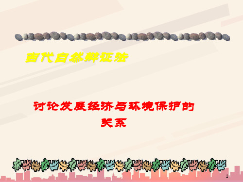 发展经济与环境保护的关系探讨(ppt 32页)