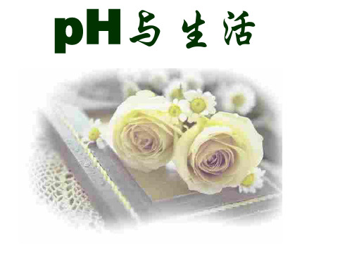 pH与生活课件生活中物质的酸碱性(PPT)3-1
