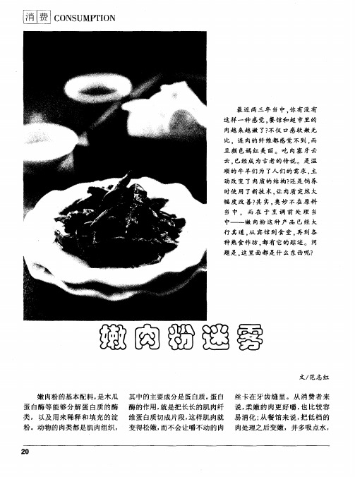 嫩肉粉迷雾