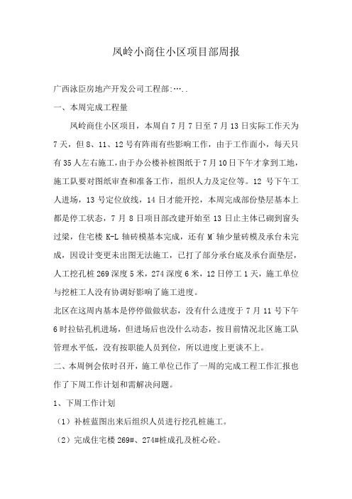 凤岭小商住小区项目部周报7。7-7。13