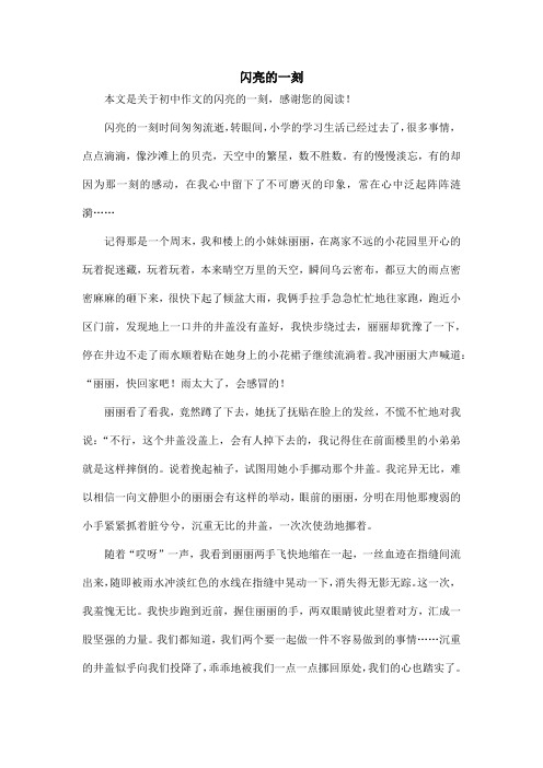 闪亮的一刻_初中作文_1