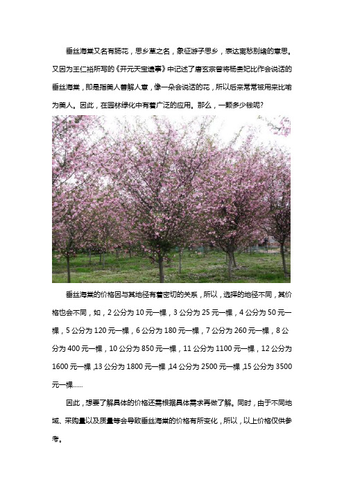 垂丝海棠多少钱一棵