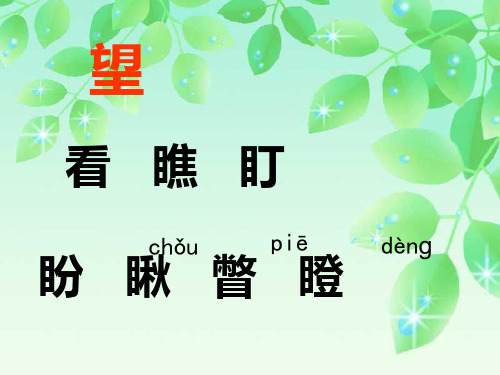 《四个愿望》PPT课件