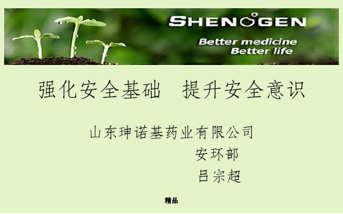 《公司级安全培训》PPT课件