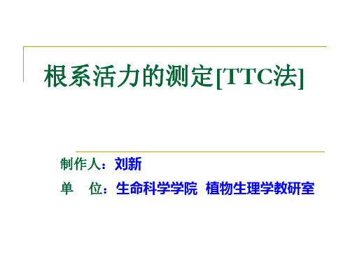 根系活力测定方法