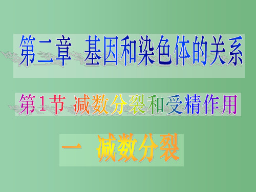 高中生物 第二章《基因和染色体的关系》复习 新人教版必修2