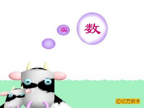 八年级数学13.3实数课件.ppt