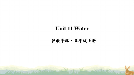 沪教版牛津英语五年级上册Unit 11 Water(教学课件)