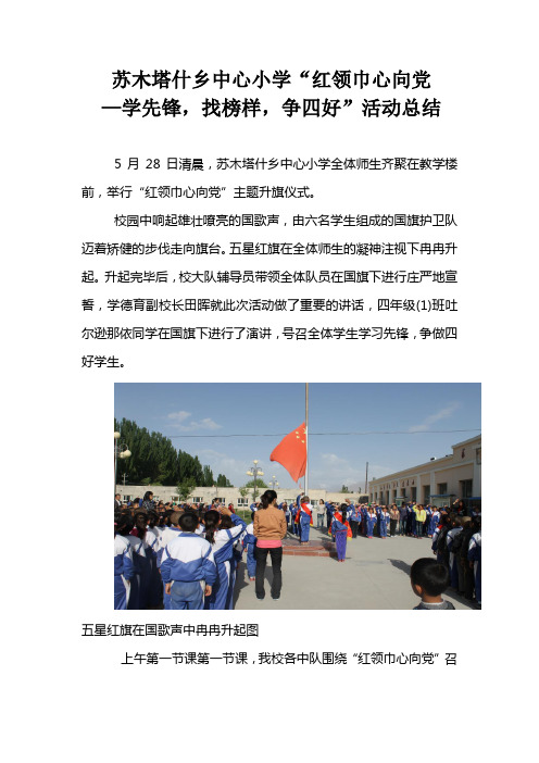 苏乡红领巾心向党活动总结