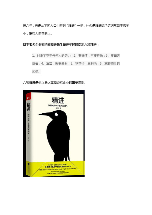 《精进：如何成为一个很厉害的人》：停止无效努力,挖掘最大潜能