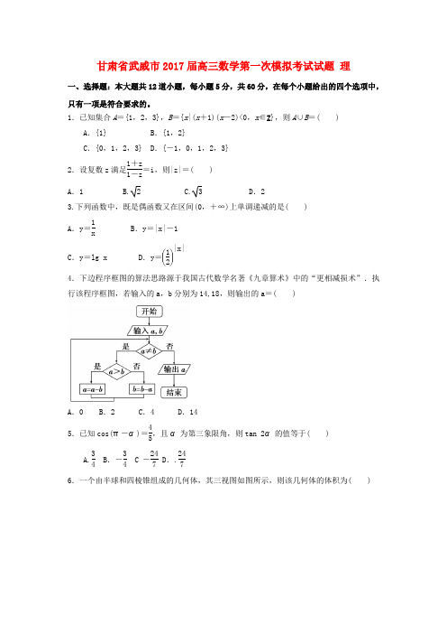 甘肃武威市2017届高三数学第一次模拟考试试题 理