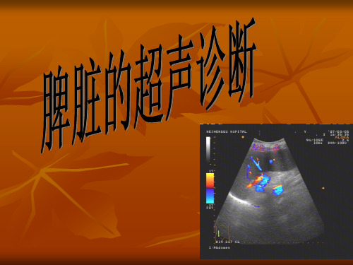 脾脏的超声诊断