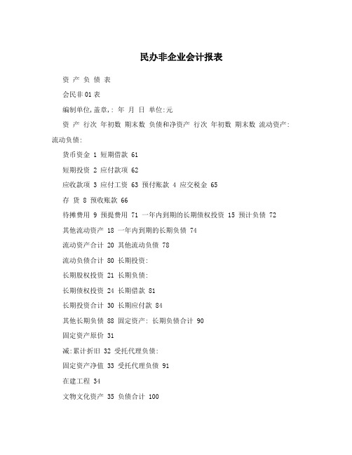 民办非企业会计报表