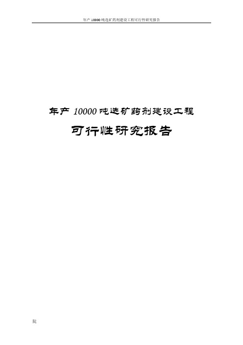 年产10000吨选矿药剂建设工程可行性研究报告