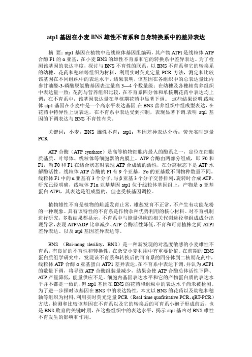 atp1基因在小麦BNS雄性不育系和自身转换系中的差异表达