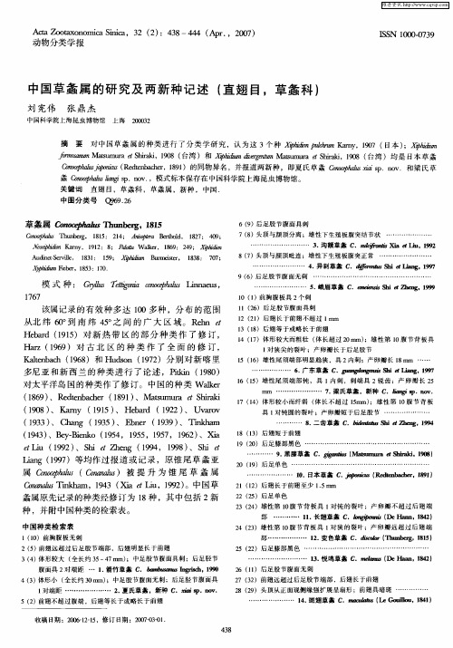 中国草螽属的研究及两新种记述(直翅目,草螽科)