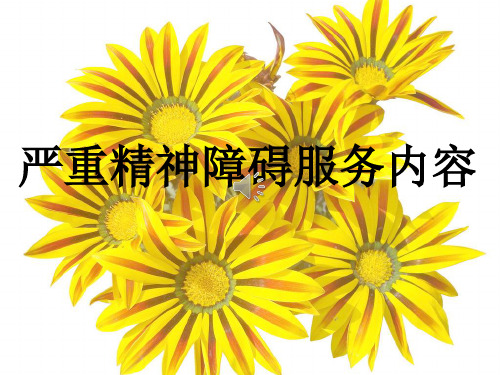 重性精神病服务内容1