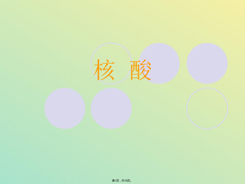 核  酸(与“核苷酸”相关文档)共16张PPT