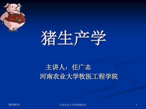 河南农业大学养猪教研室(精)