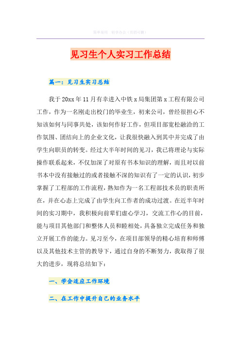 见习生个人实习工作总结