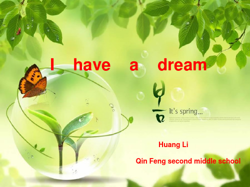 I have  a dream英语演讲ppt