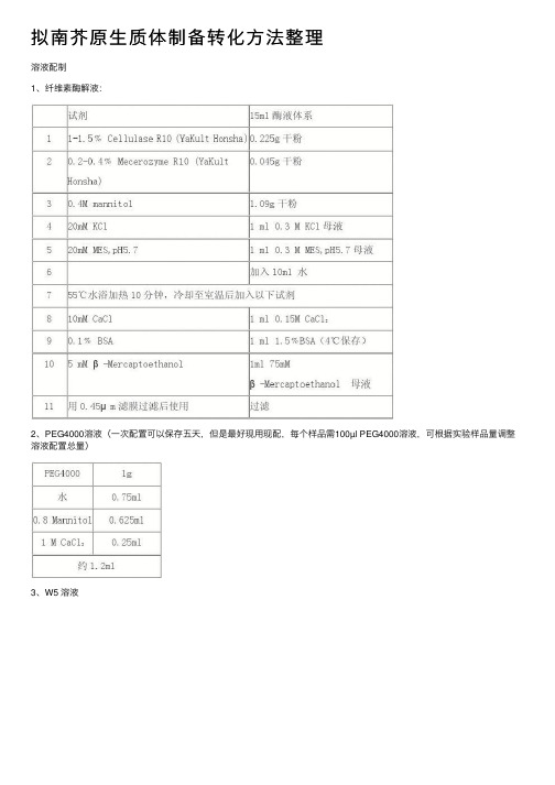 拟南芥原生质体制备转化方法整理