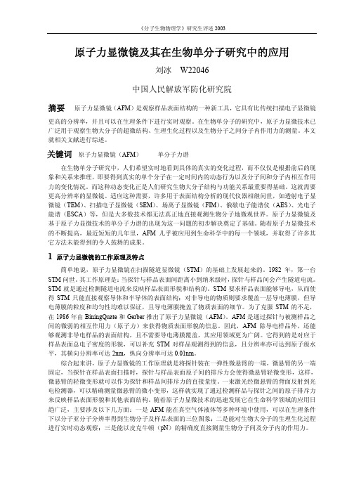 AFM综述