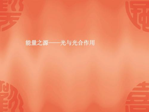 2015届高考一轮生物详细复习《能量之源光与光合作用》课件新人教版