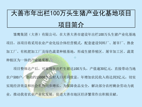 发改委生猪养殖规划工艺设计PPT生猪合作社设计材料课件