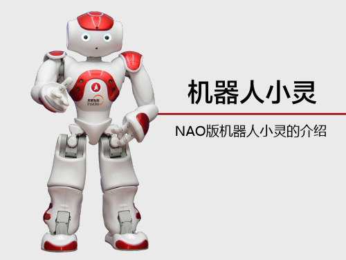 NAO机器人小灵大脑使用介绍