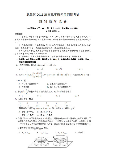 湖北省武汉市武昌区高三元月调考——数学(理)数学(理)