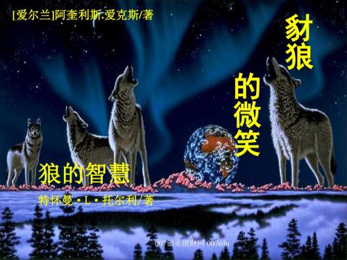 狼的智慧整理ppt-