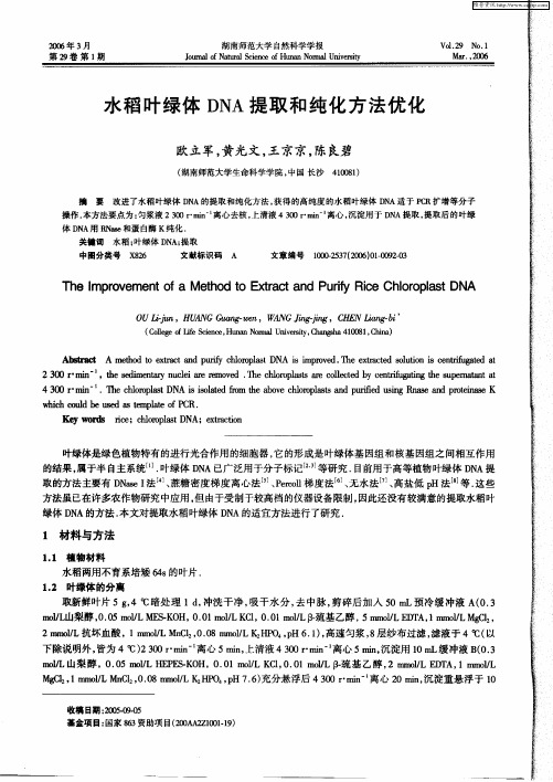 水稻叶绿体DNA提取和纯化方法优化