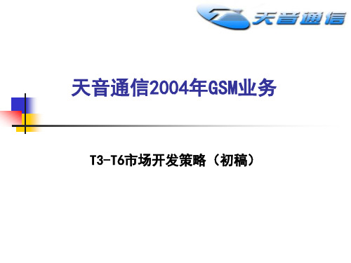 T3-T6市场开发策略(初稿).