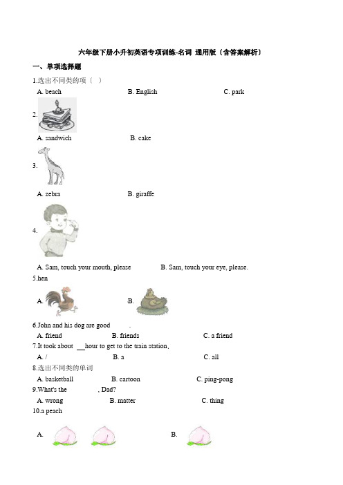 小升初英语专项训练 名词 通用版(含答案解析)