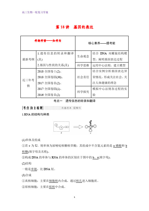 高三生物一轮复习优质学案：基因的表达