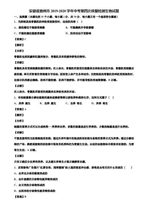 安徽省滁州市2019-2020学年中考第四次质量检测生物试题含解析